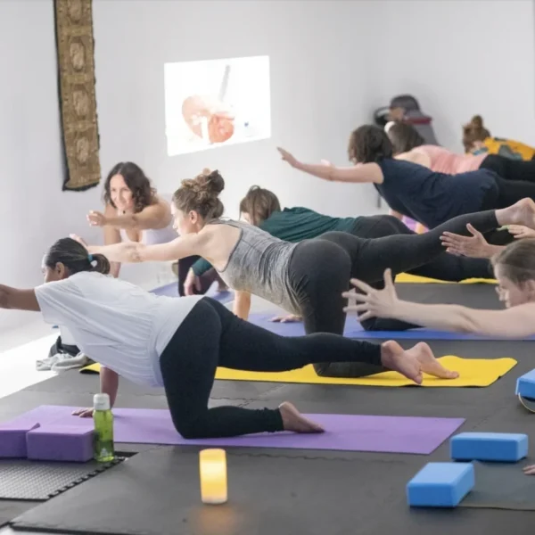 Formation en Yoga Périnatal (100H)