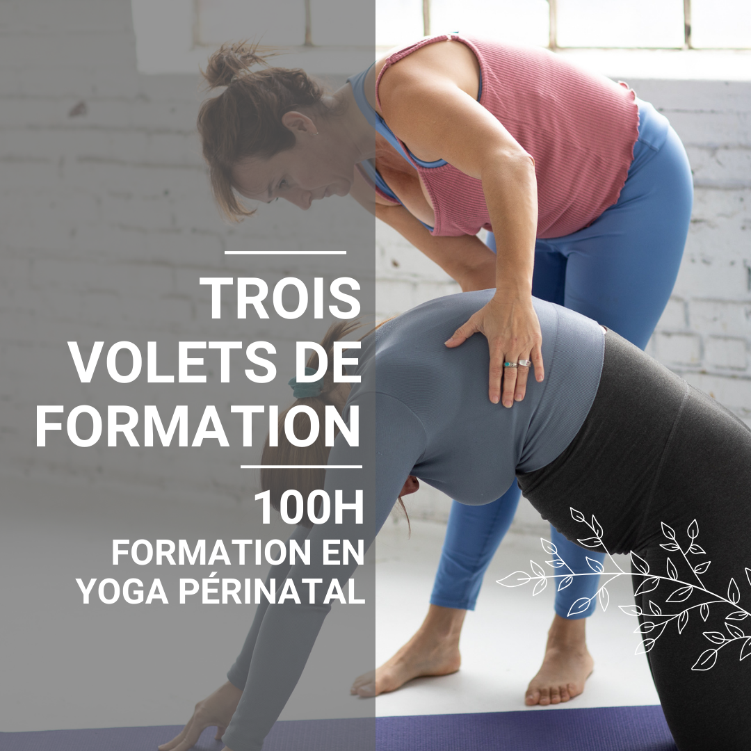 Formation en Yoga Périnatal (100h) EN PERSONNE